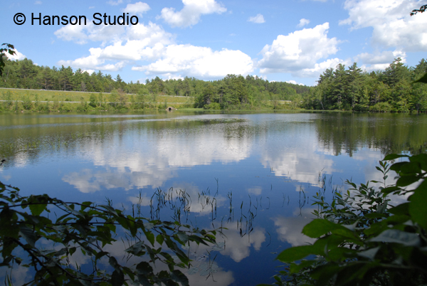 New London, NH - Goose Pond - Summer